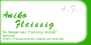 aniko fleissig business card